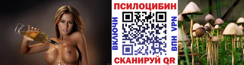закладки  Катав-Ивановск  Галлюциногенные грибы Psilocybine cubensis 